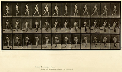 8 - Vol 1 - Plate 11
